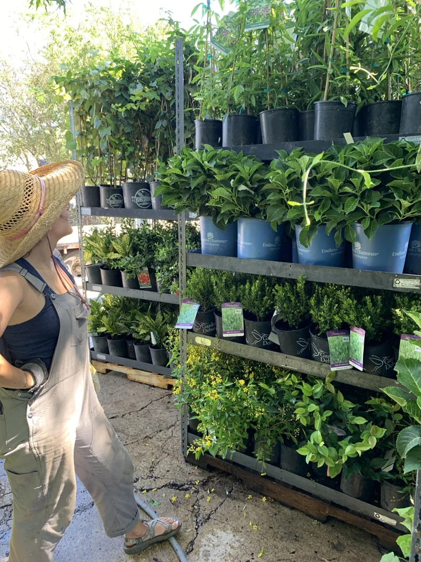 McIntire's Garden Center business photo
