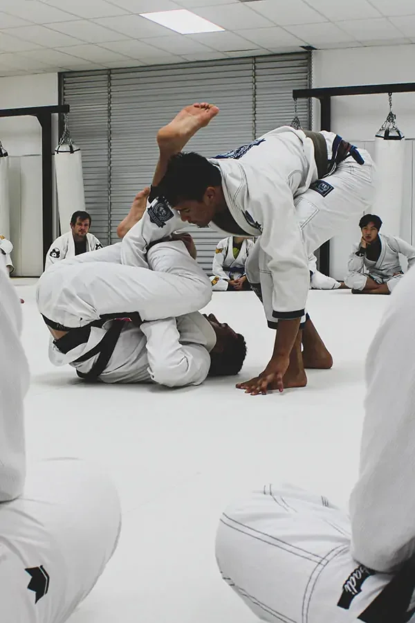 Team Rabadi Brazilian Jiu-Jitsu & Muay Thai, business photo 3