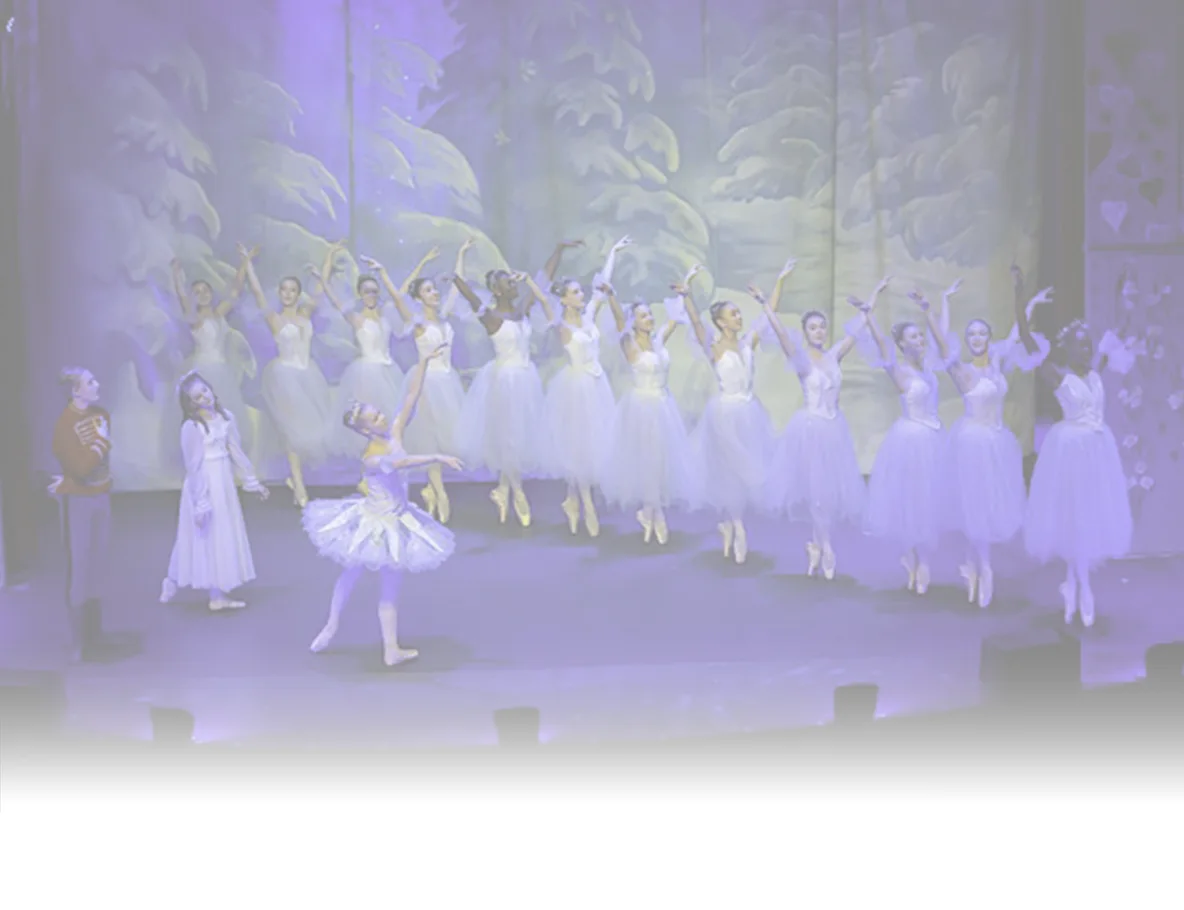 The Austin Dance Conservatory business photo