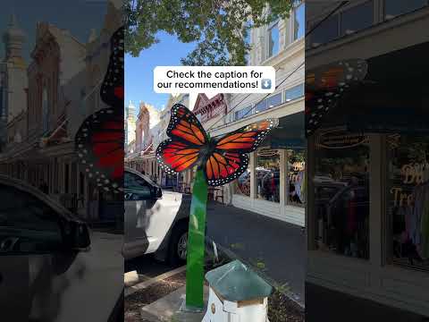 How to spend a day in Georgetown video thumbnail