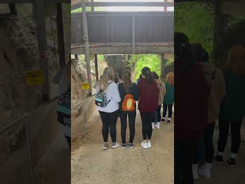 Inside Inner Space Cavern video thumbnail
